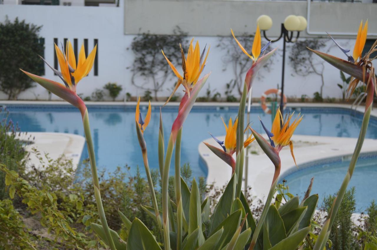 Apartamento Proximo Da Marina Vilamoura C/Piscina E Estacionamento Exteriör bild